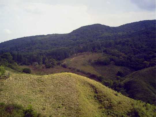 Reserva Forestal El Montuoso